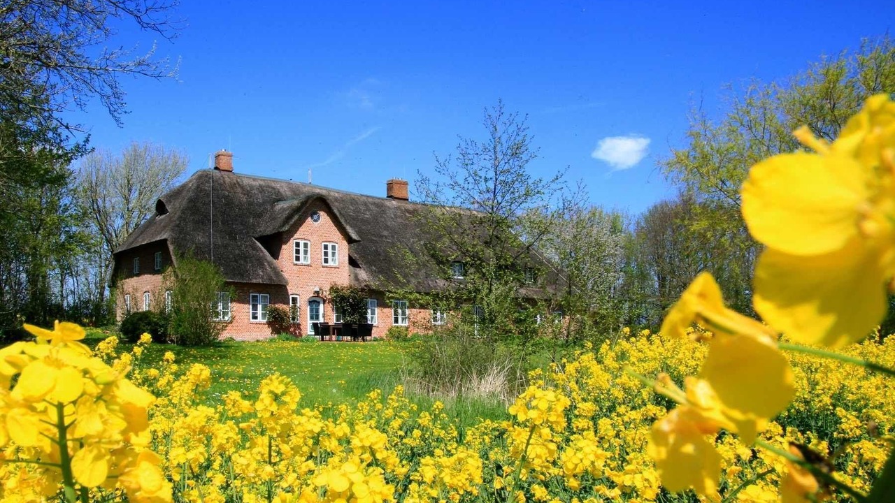 Photo of Outdoor in Garding