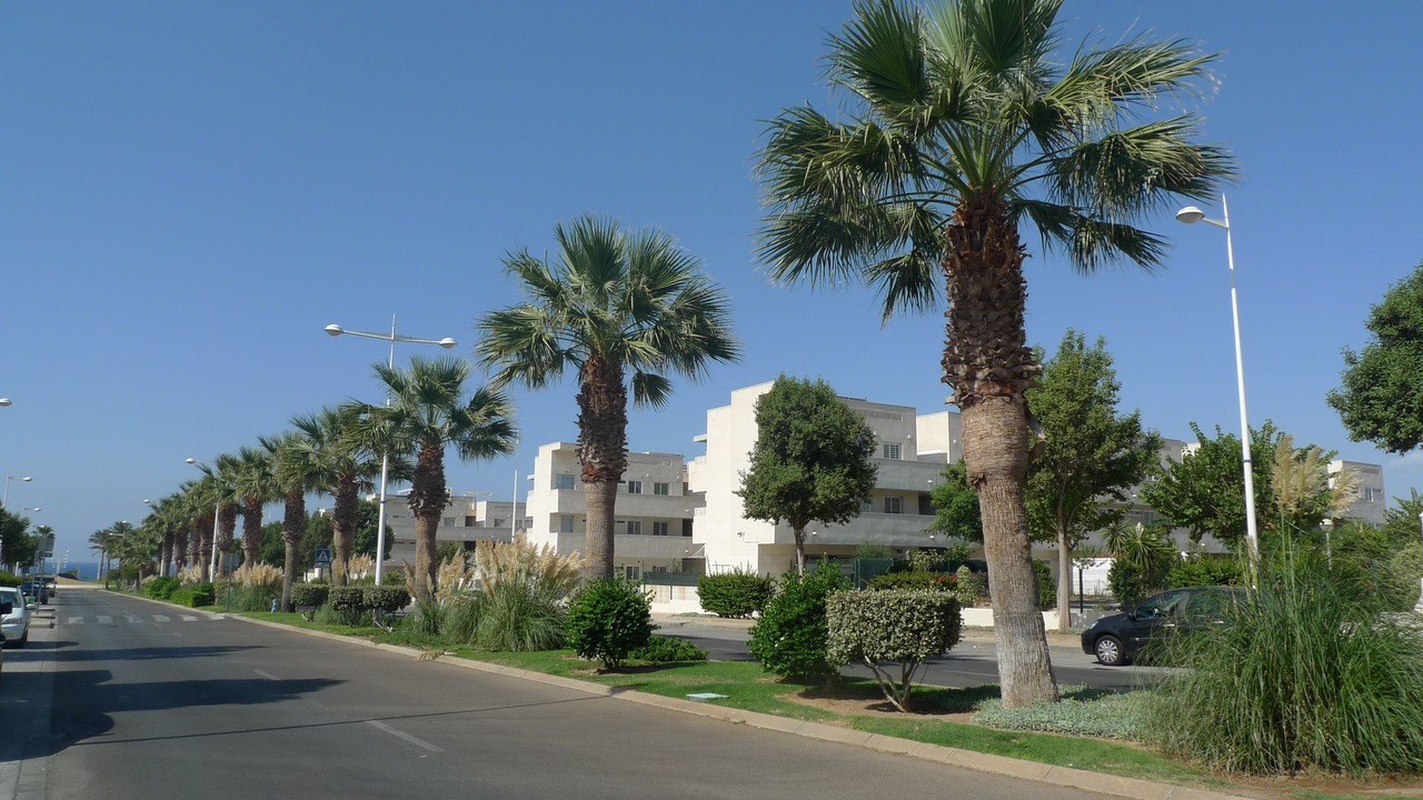Photo of Outdoor in Retamar