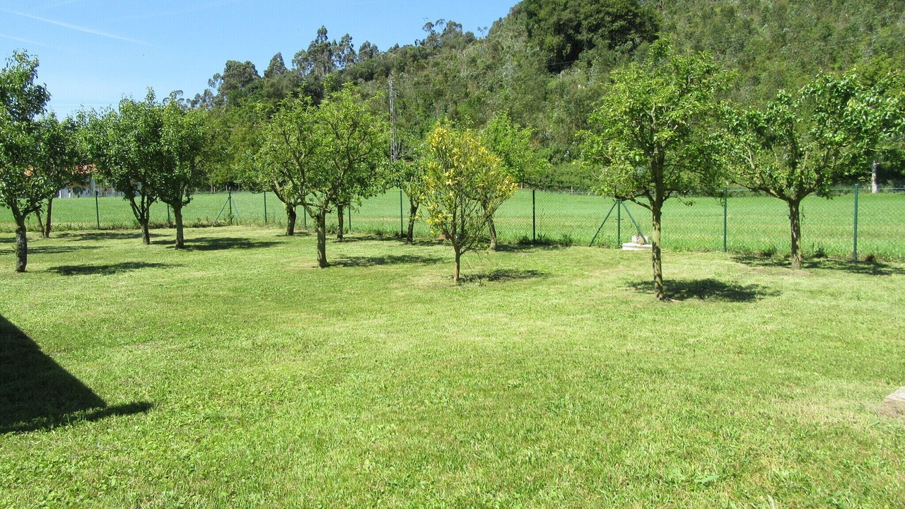 Photo of Outdoor in Barcena de Cicero