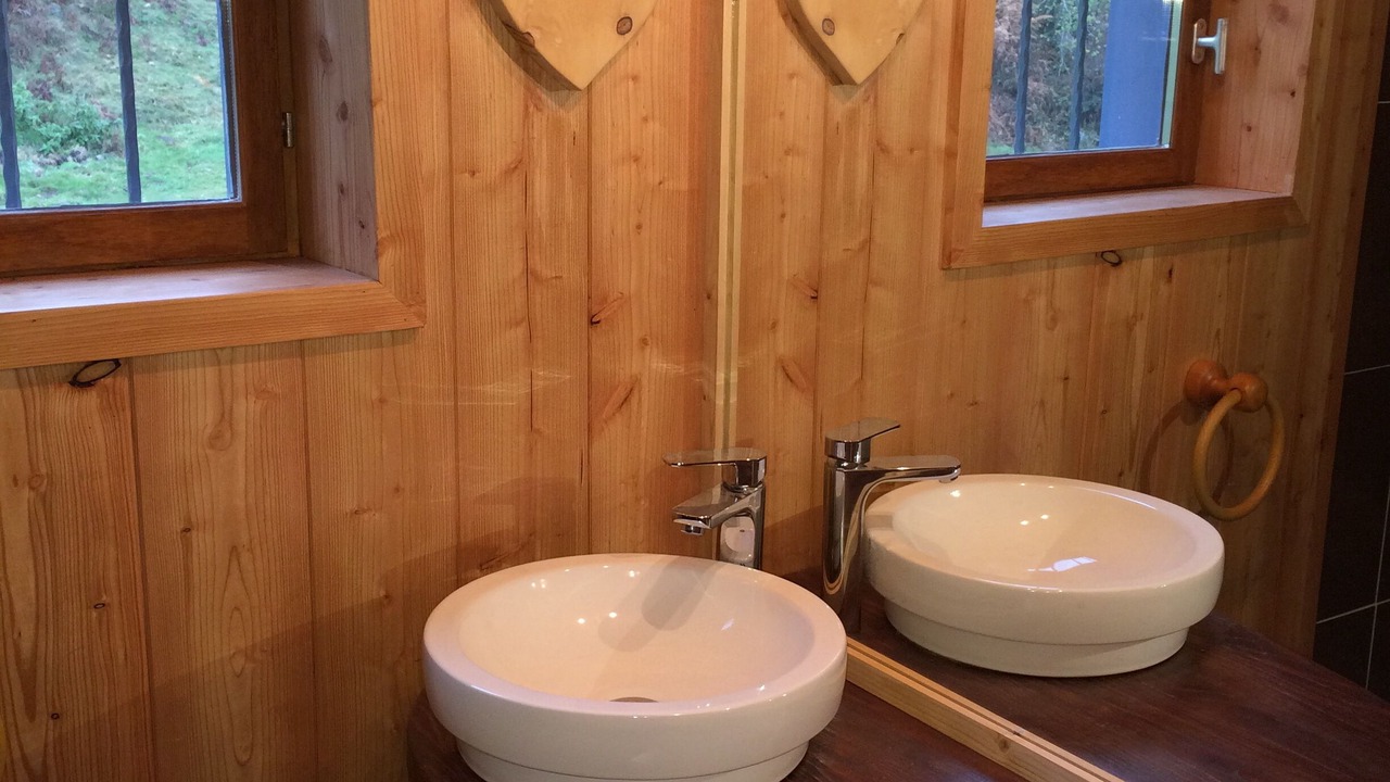 Photo of Bathroom in Campan
