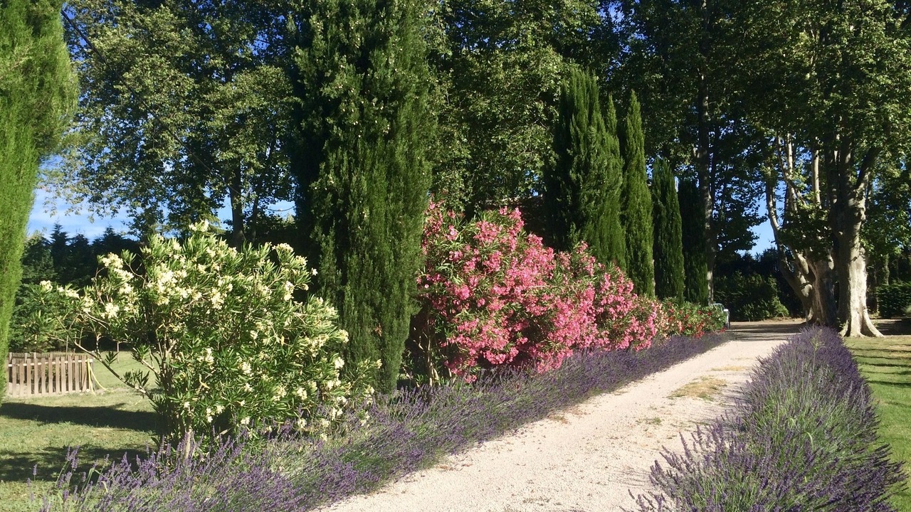 Photo of Outdoor in Senas