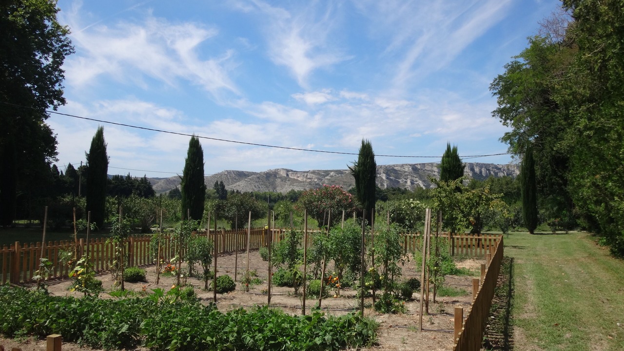 Photo of Outdoor in Senas