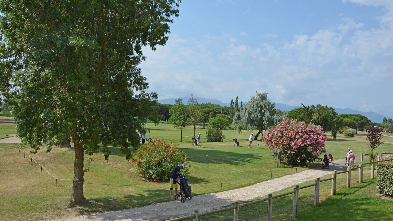 Photo of Others in Saint-Cyprien Plage