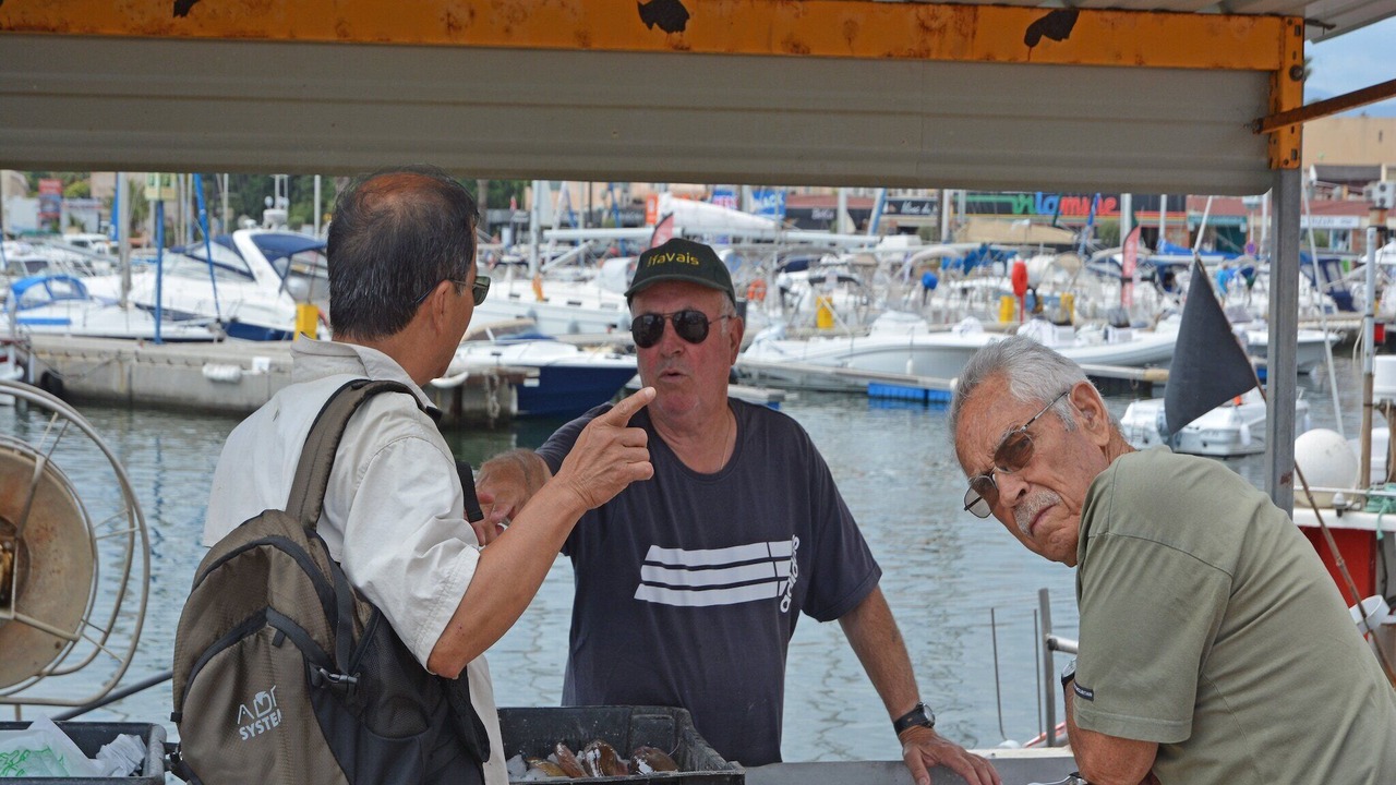 Photo of Others in Saint-Cyprien Plage