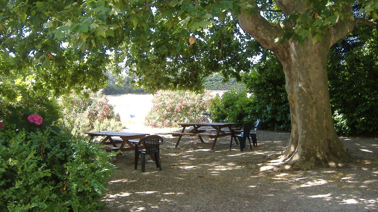 Photo of Outdoor in La Garde-Adhemar
