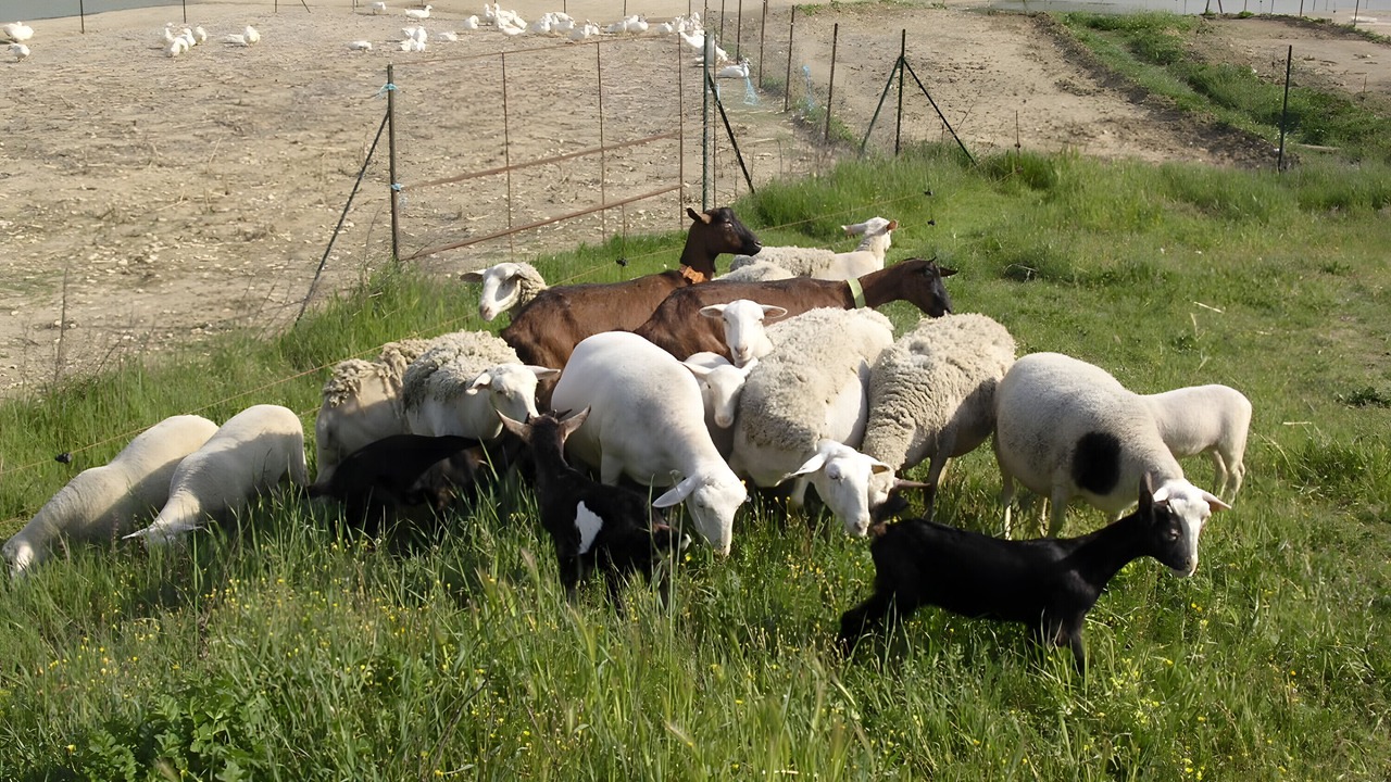 Photo of Others in La Garde-Adhemar