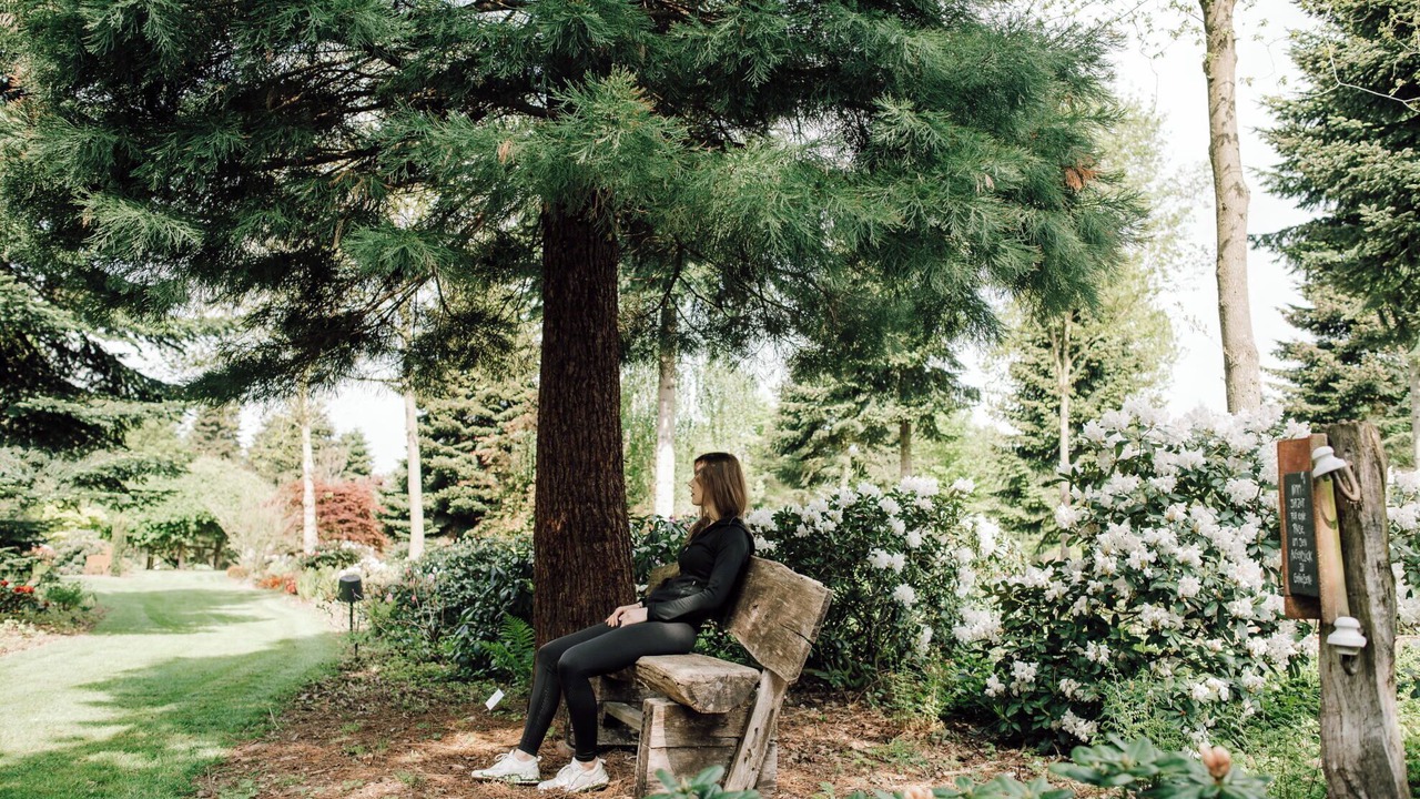 Photo of Outdoor in Emstek