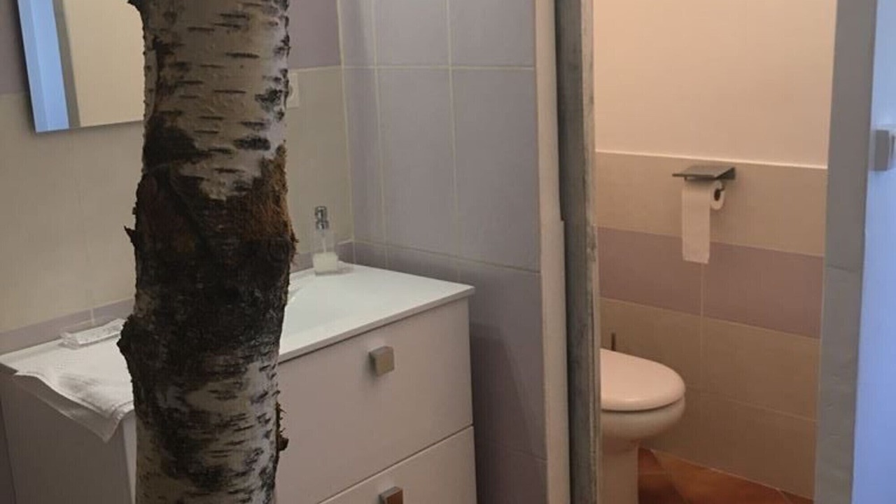 Photo of Bathroom in Puget