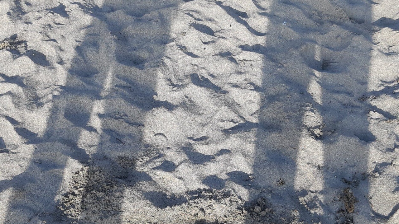 Photo of Others in A Guarda