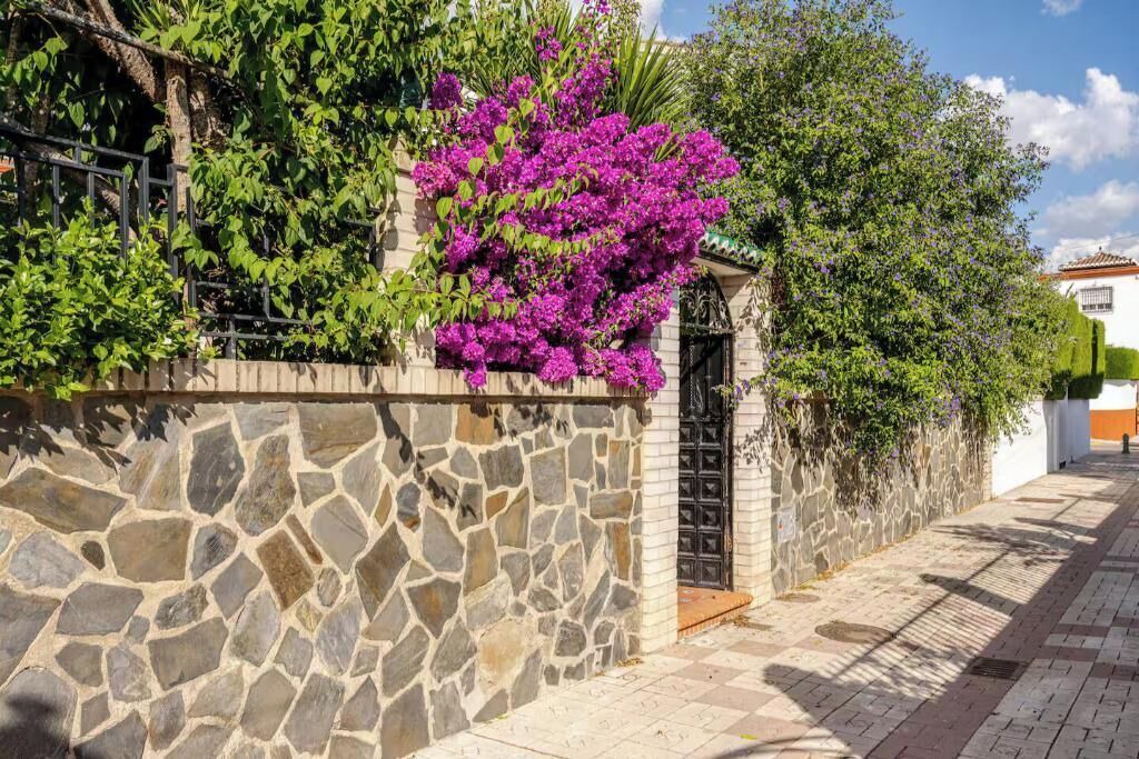 Photo of Outdoor in Norte