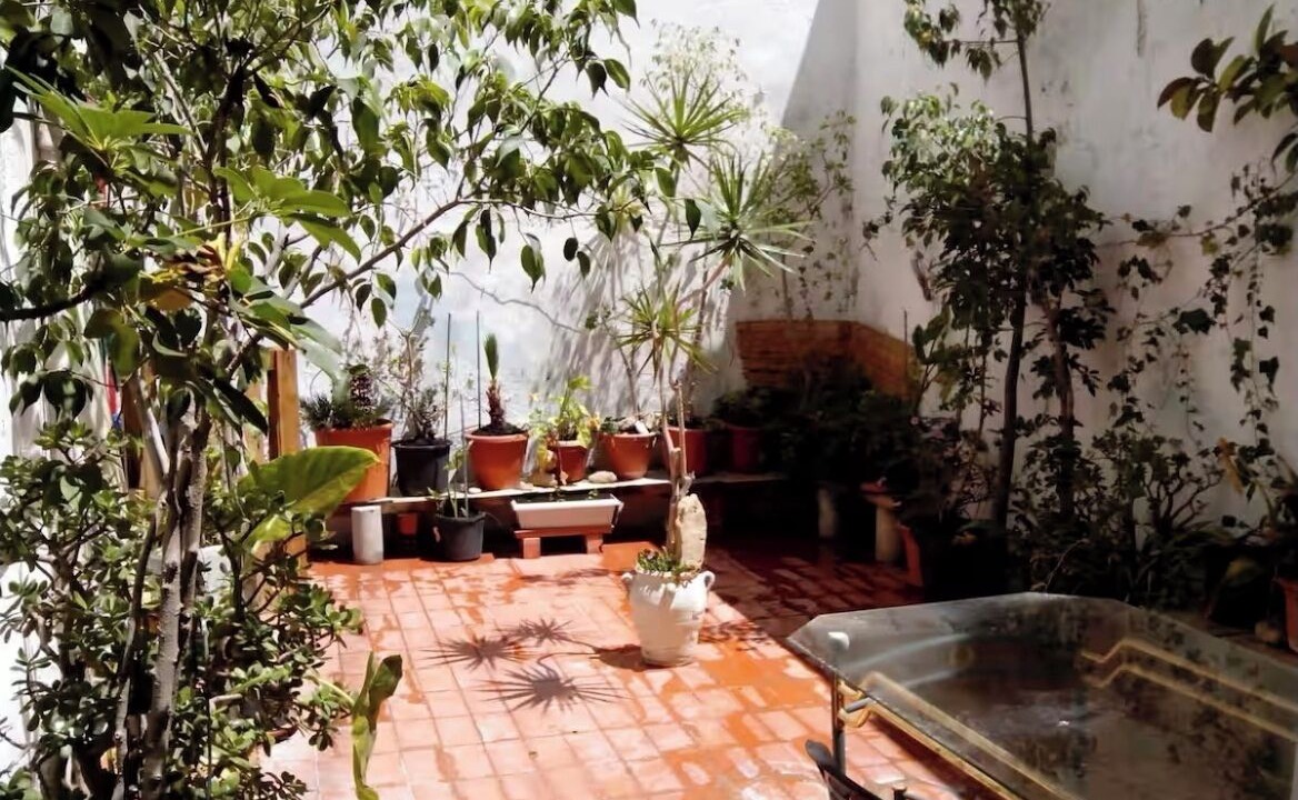 Photo of Patio Balcony in Campoamor