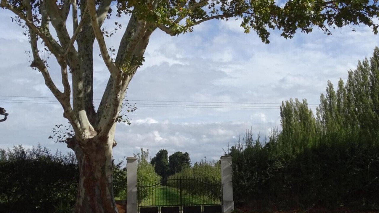 Photo of Outdoor in Cabannes