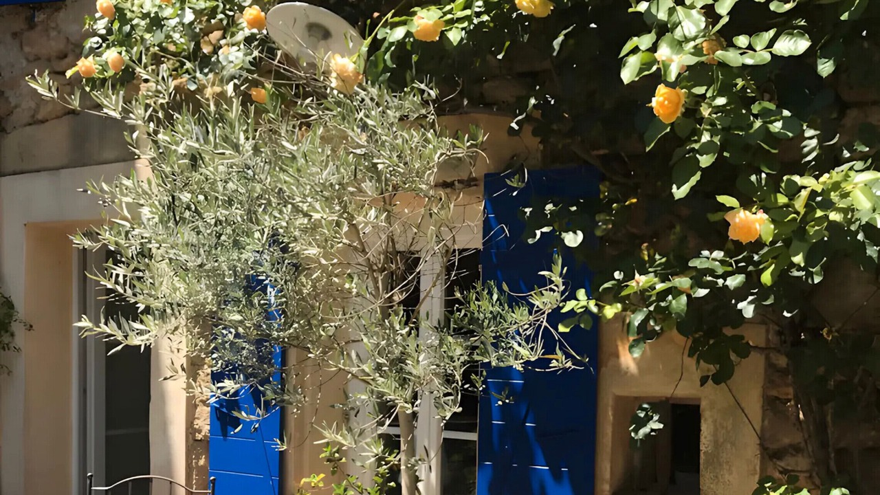 Photo of Patio Balcony in Suze-la-Rousse