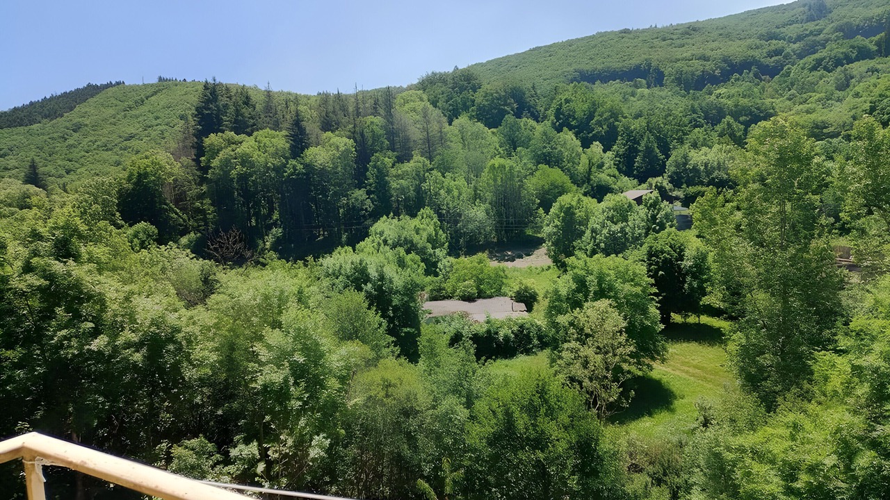 Photo of Outdoor in La Salvetat-sur-Agout