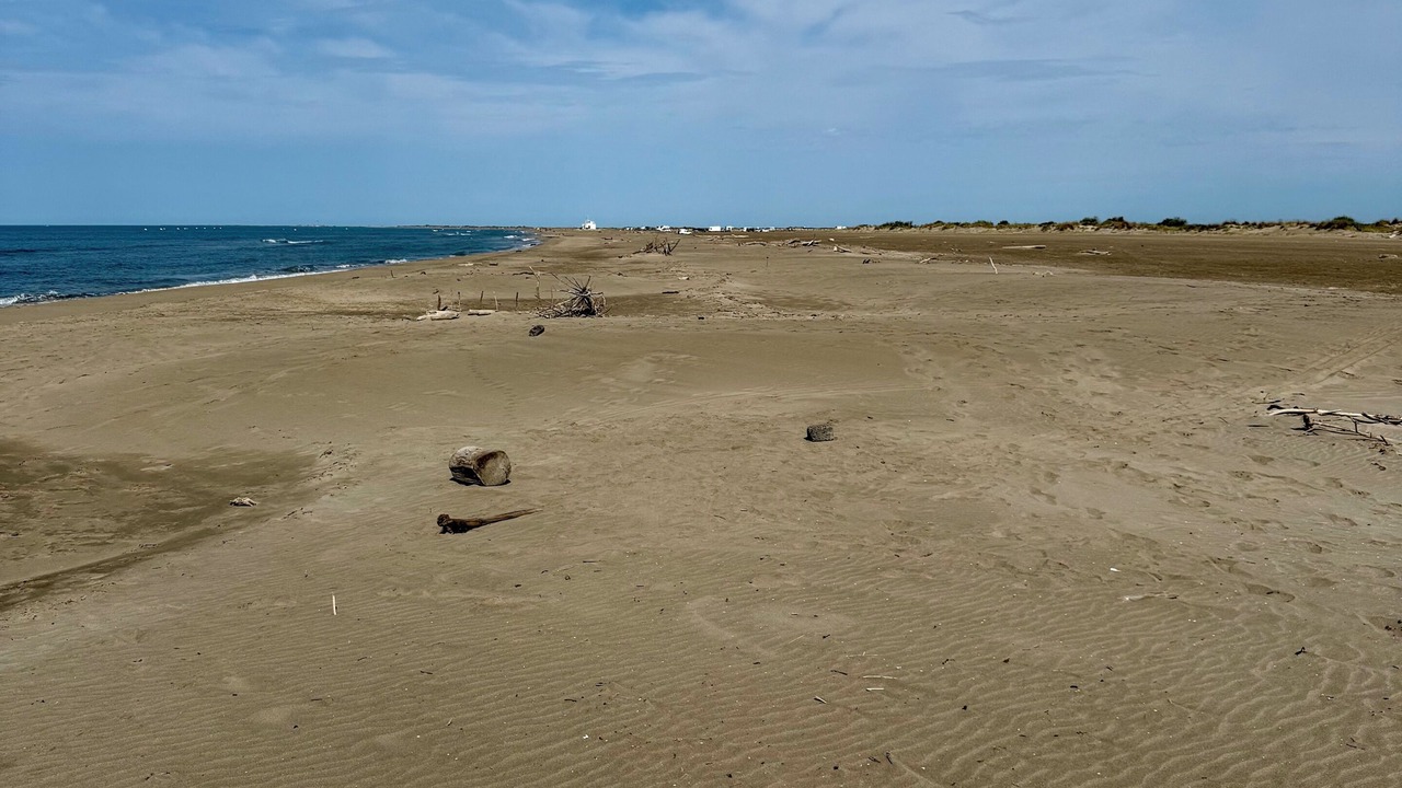 Photo of Others in Salin-de-Giraud