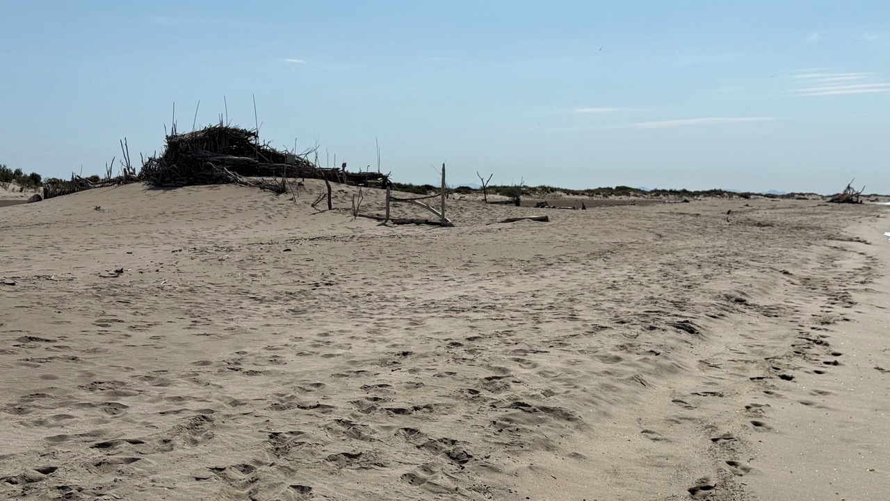 Photo of Others in Salin-de-Giraud