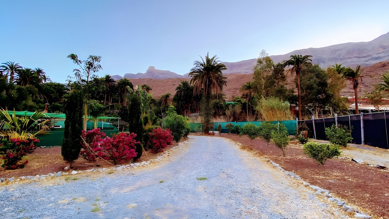 Photo of Outdoor in San Bartolome de Tirajana