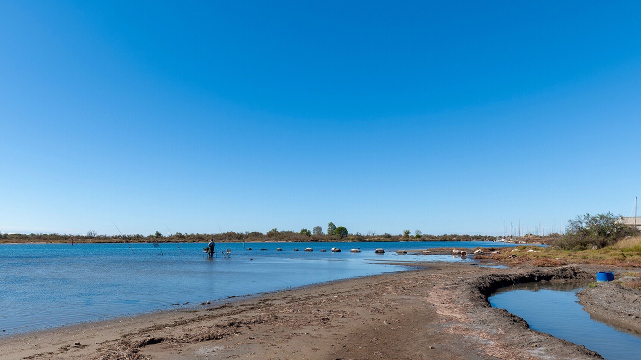 Photo of Others in Port-Saint-Louis-du-Rhone