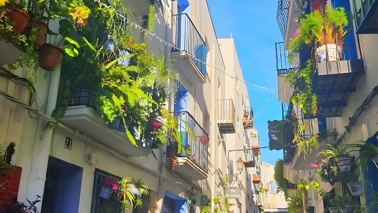 Photo of Outdoor in Peniscola