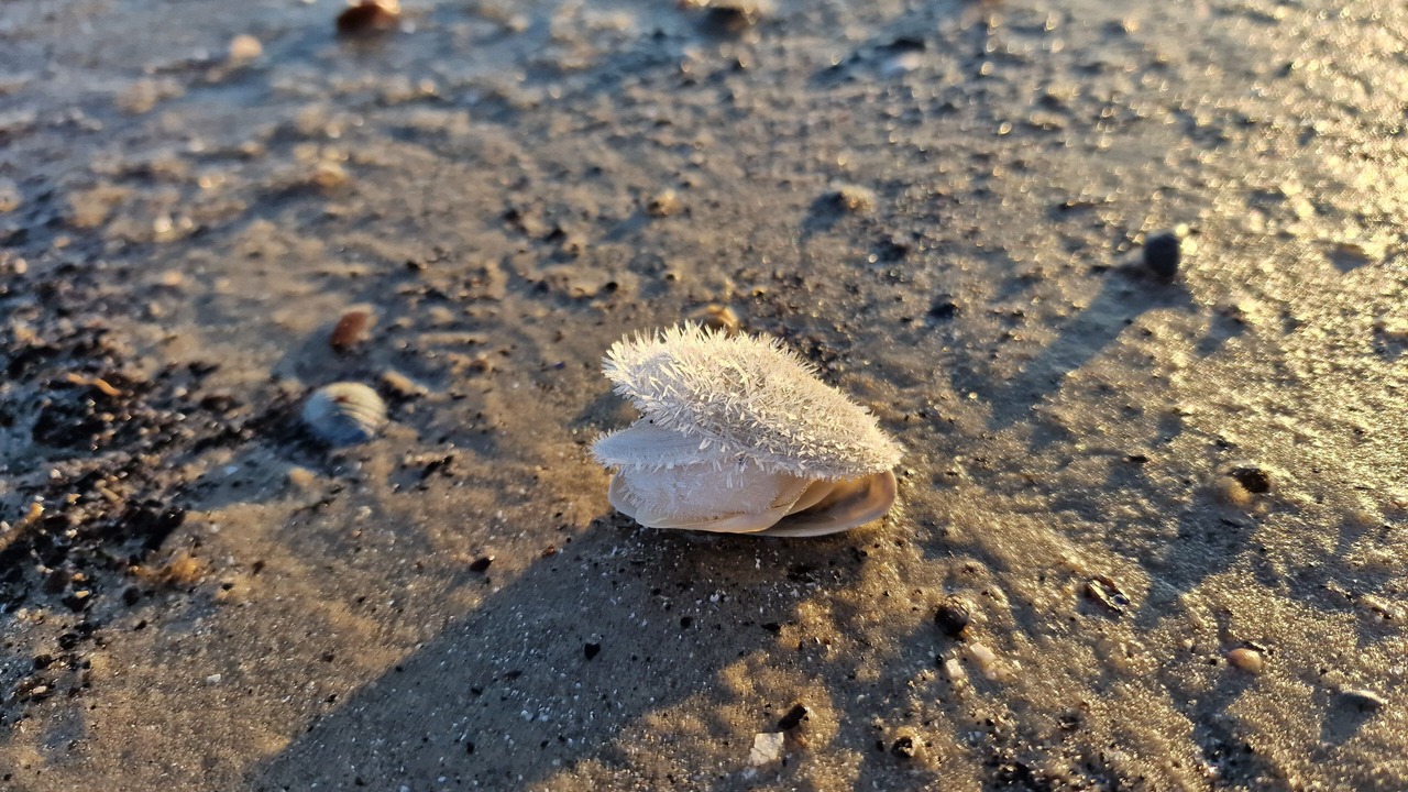 Photo of Others in Peenemuende