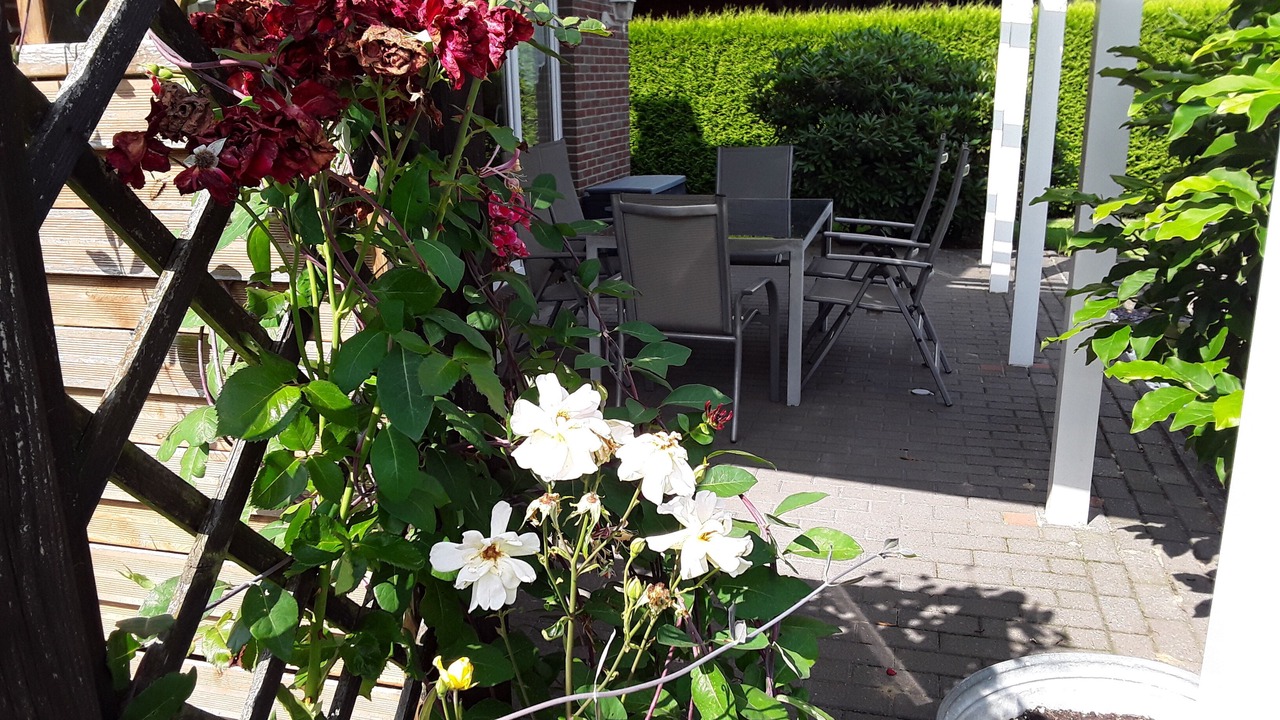 Photo of Outdoor in Sandkrug