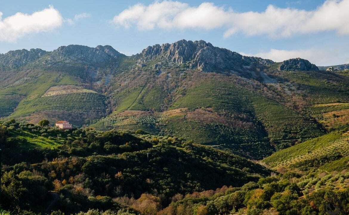 Photo of Others in Castanar de Ibor
