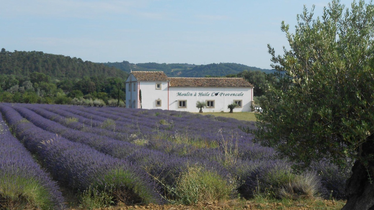 Photo of Others in Mirabel-aux-Baronnies