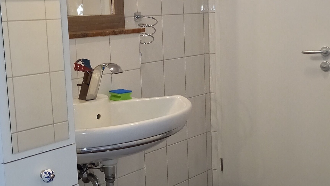 Photo of Bathroom in Seckbach