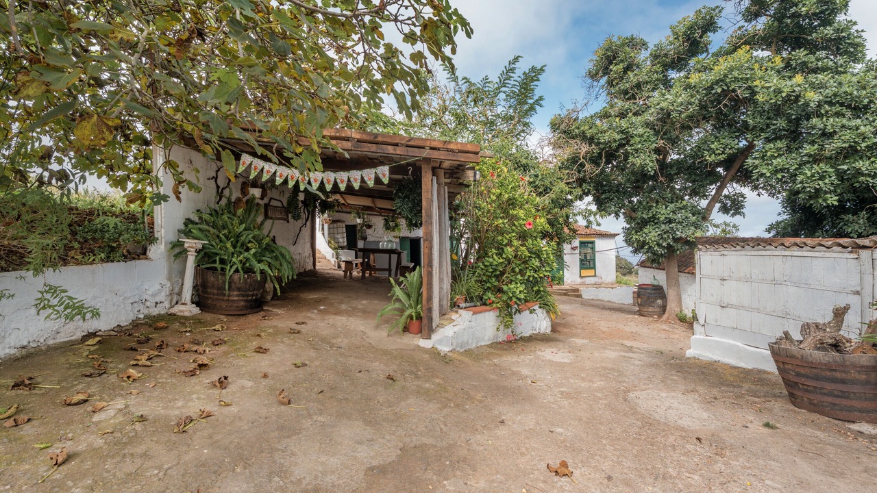 Photo of Outdoor in Tacoronte