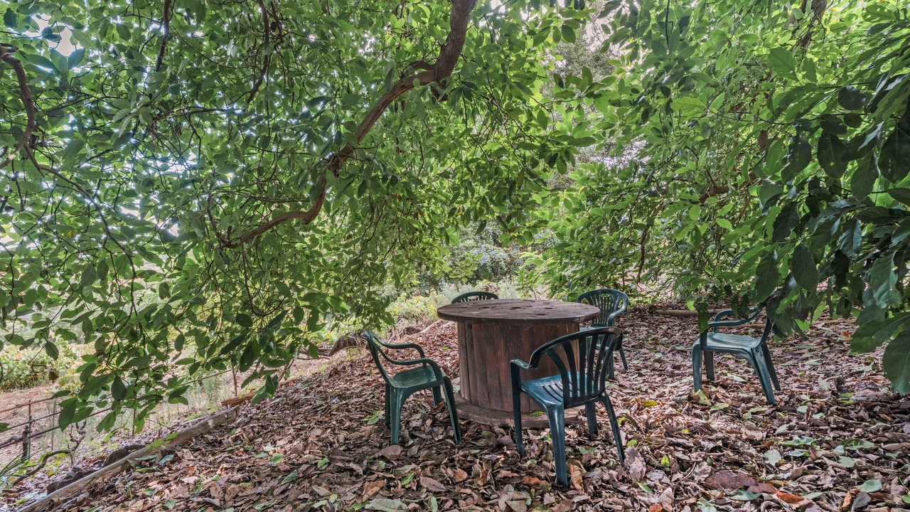 Photo of Outdoor in Tacoronte