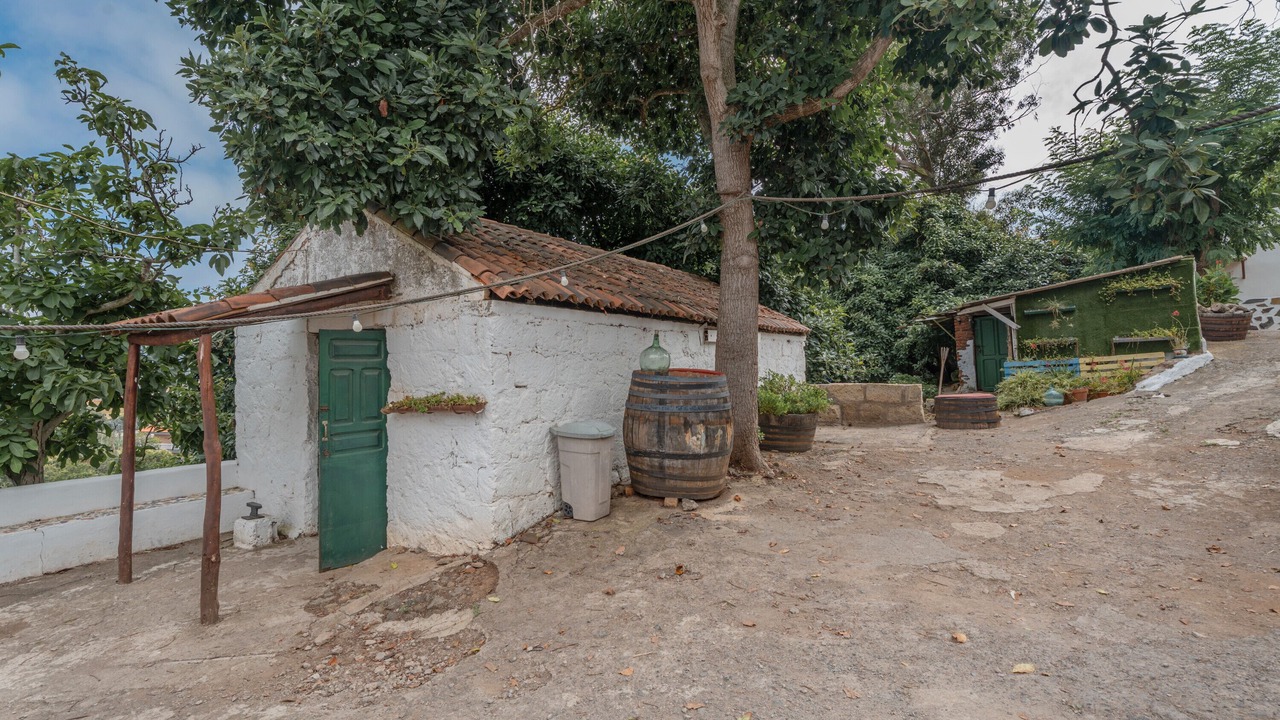 Photo of Outdoor in Tacoronte