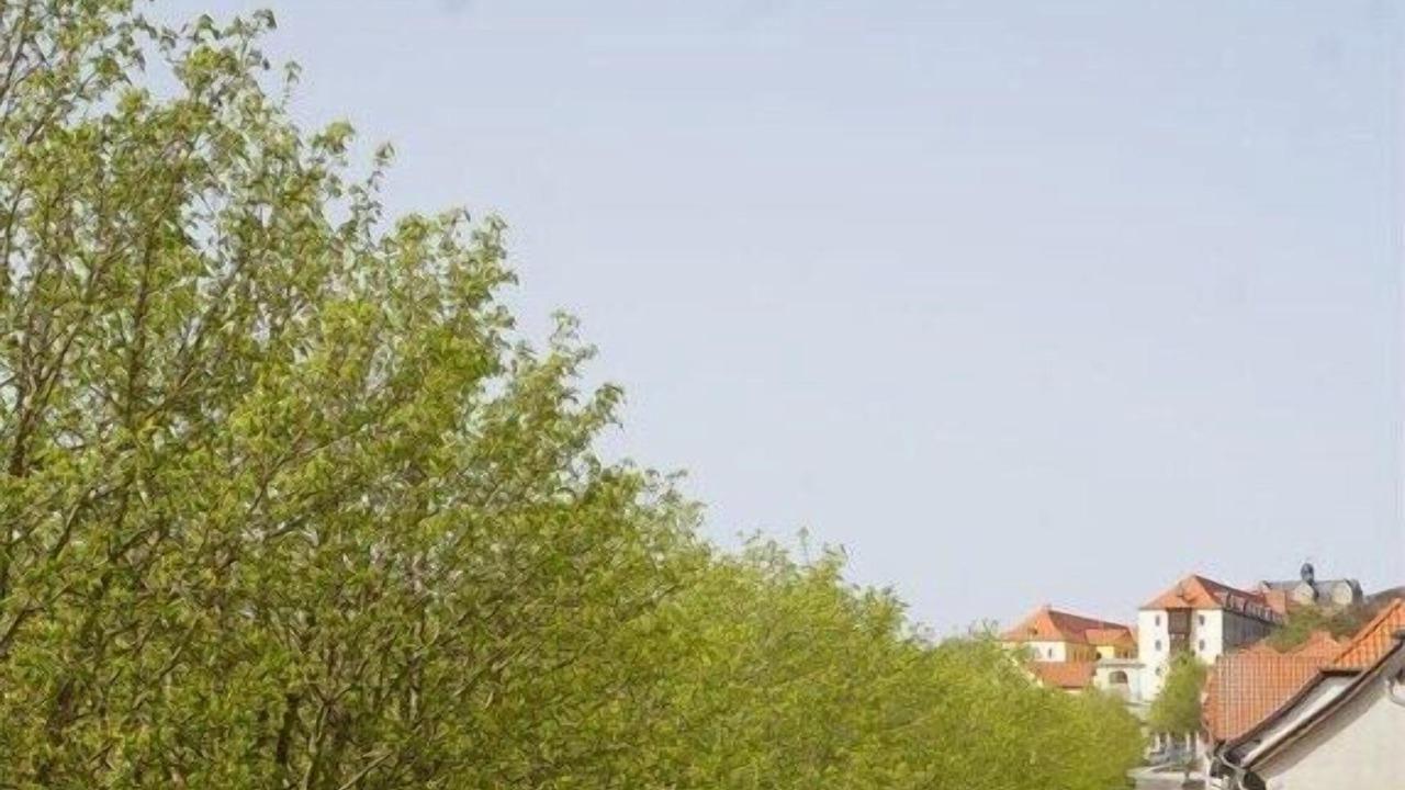 Photo of Others in Ballenstedt