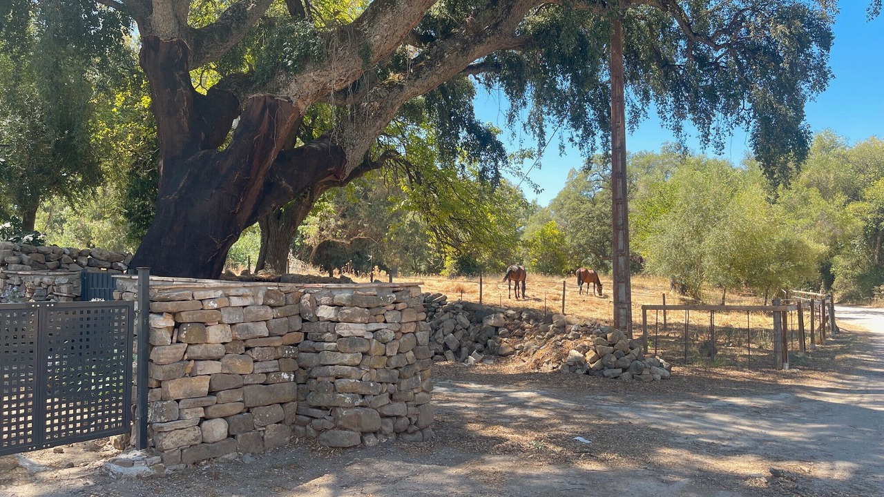 Photo of Others in Jimena de la Frontera