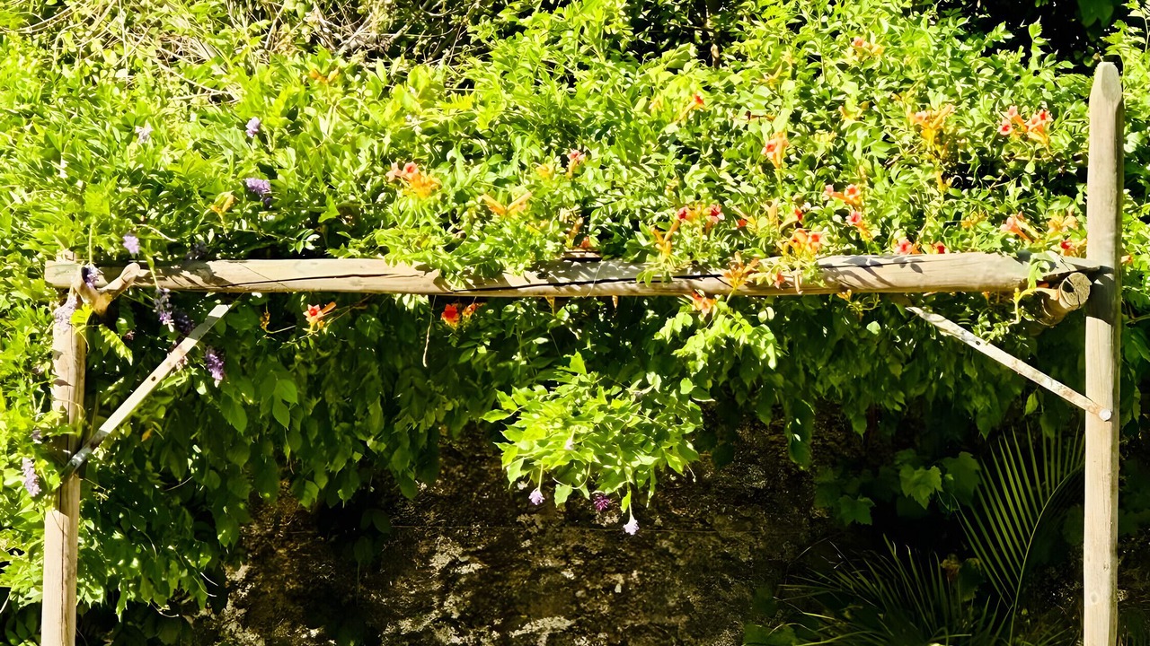 Photo of Outdoor in Jimena de la Frontera