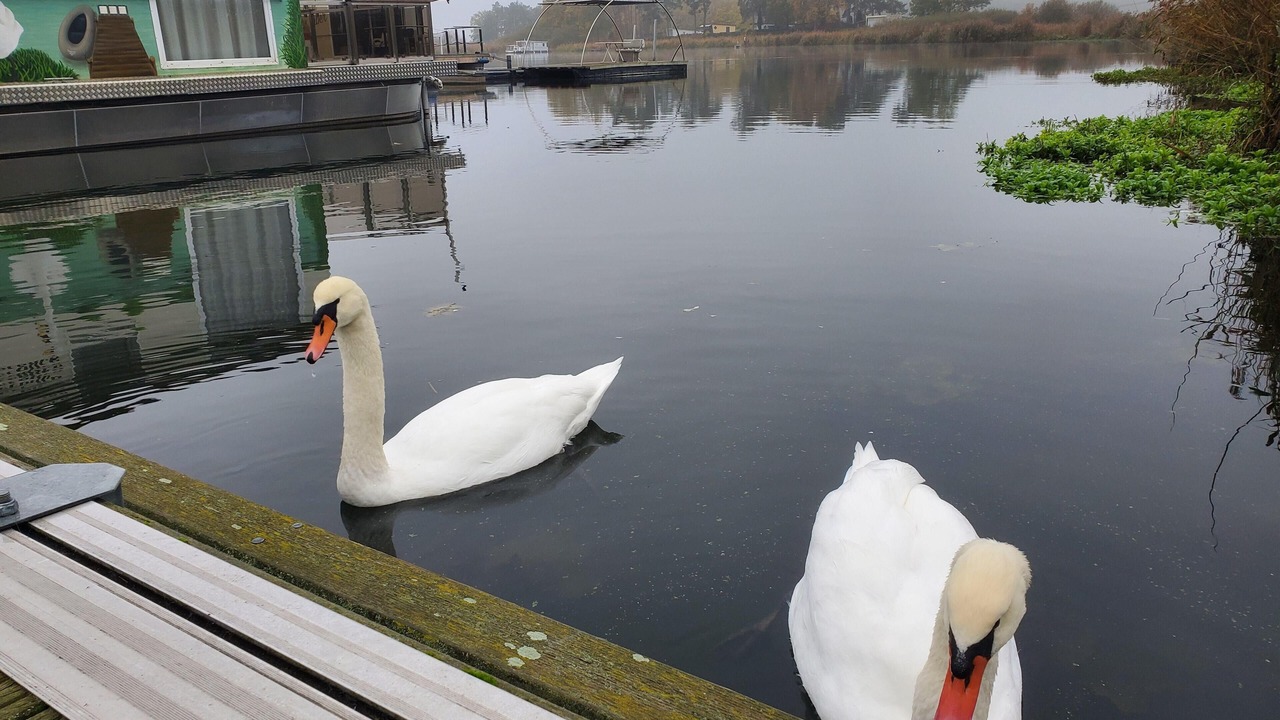 Photo of Others in Havelsee