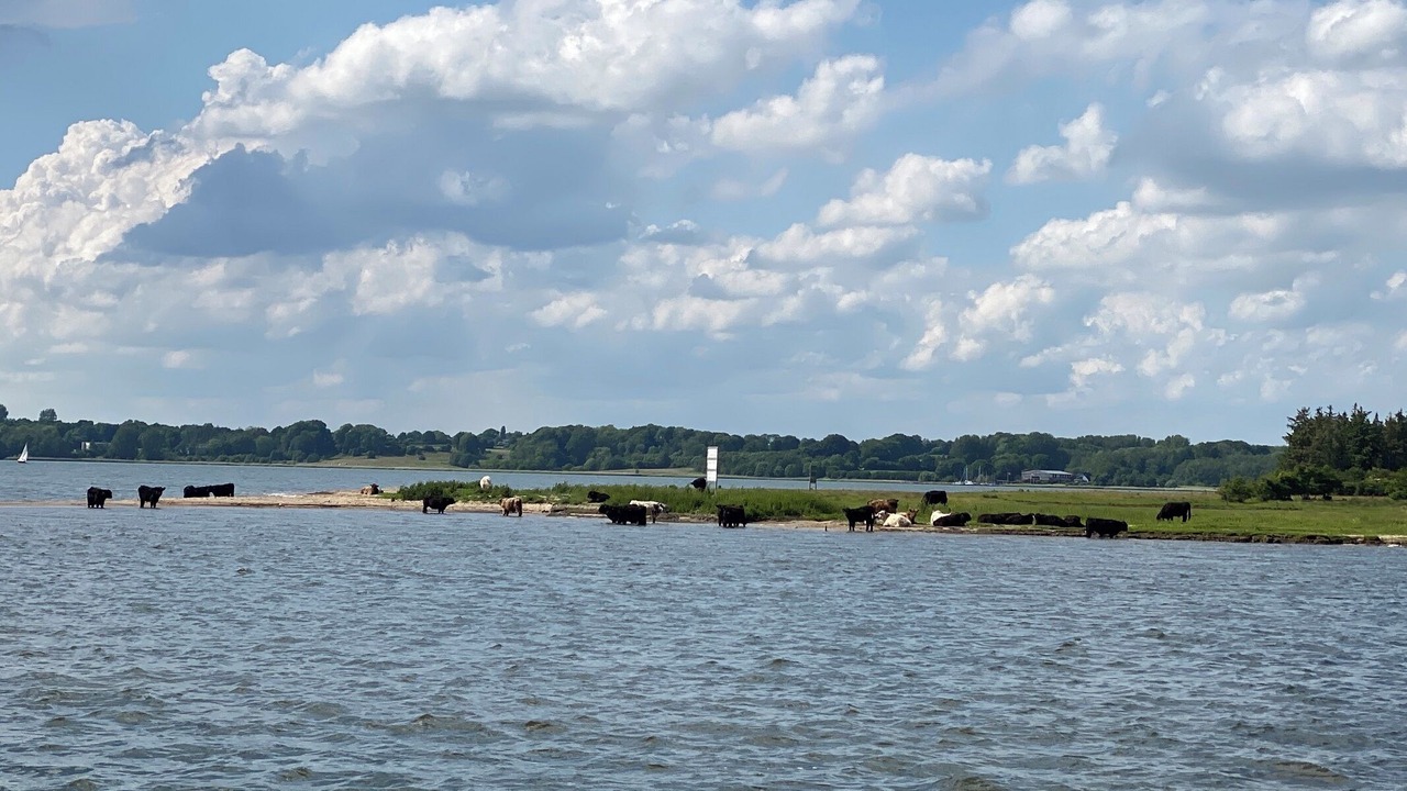 Photo of Others in Schleswig