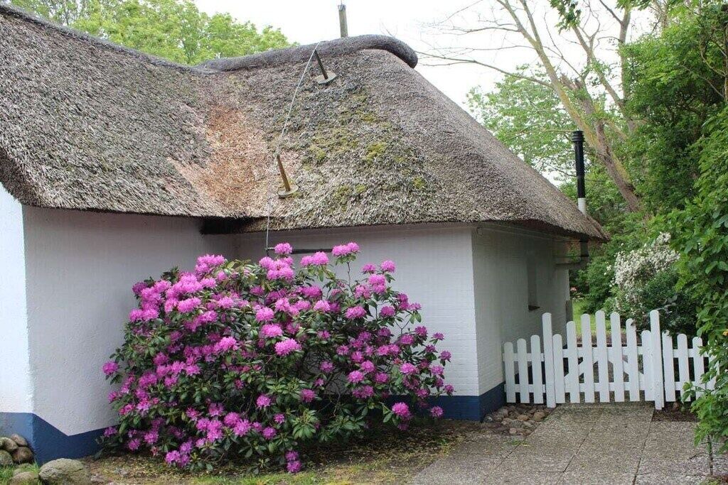 Photo of Outdoor in Goting