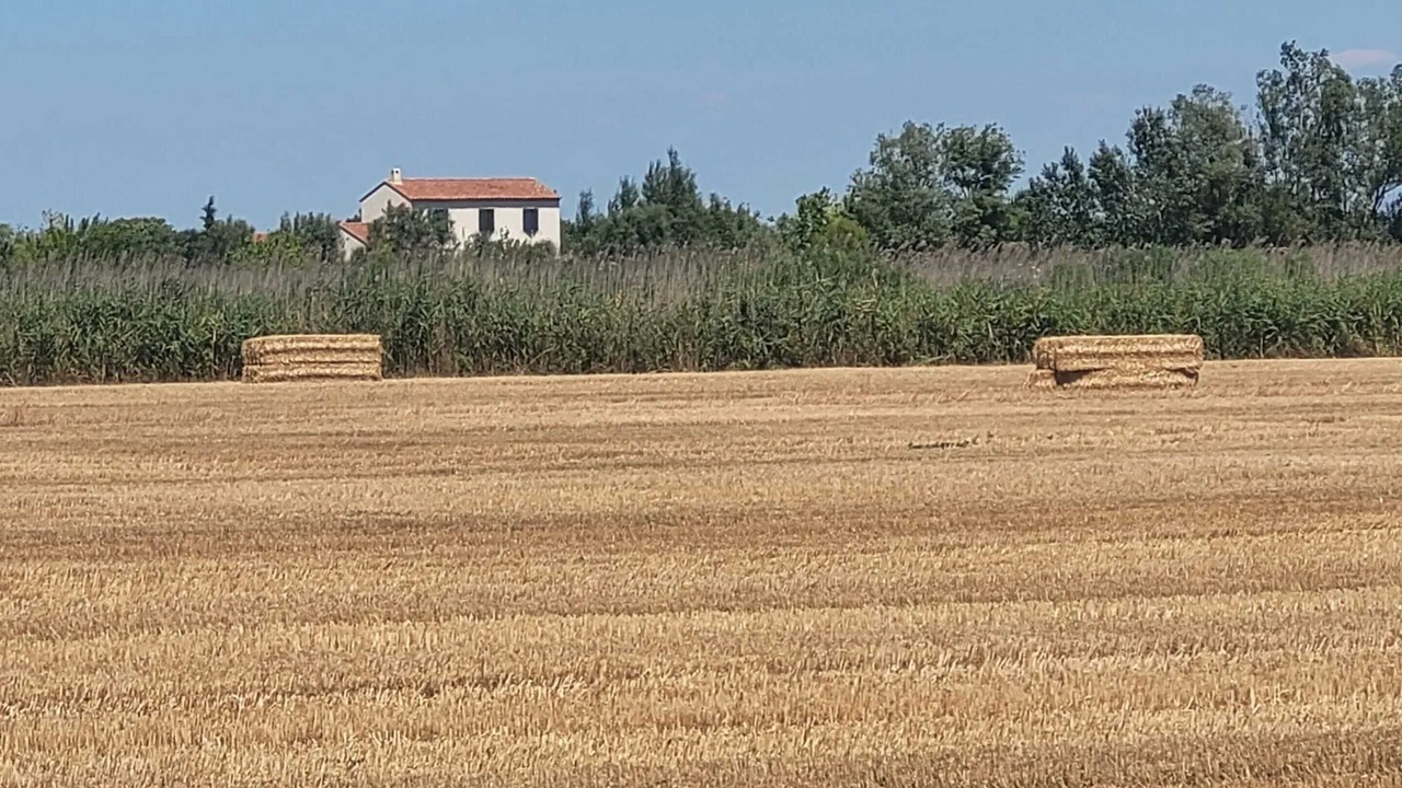 Photo of Others in Albaron
