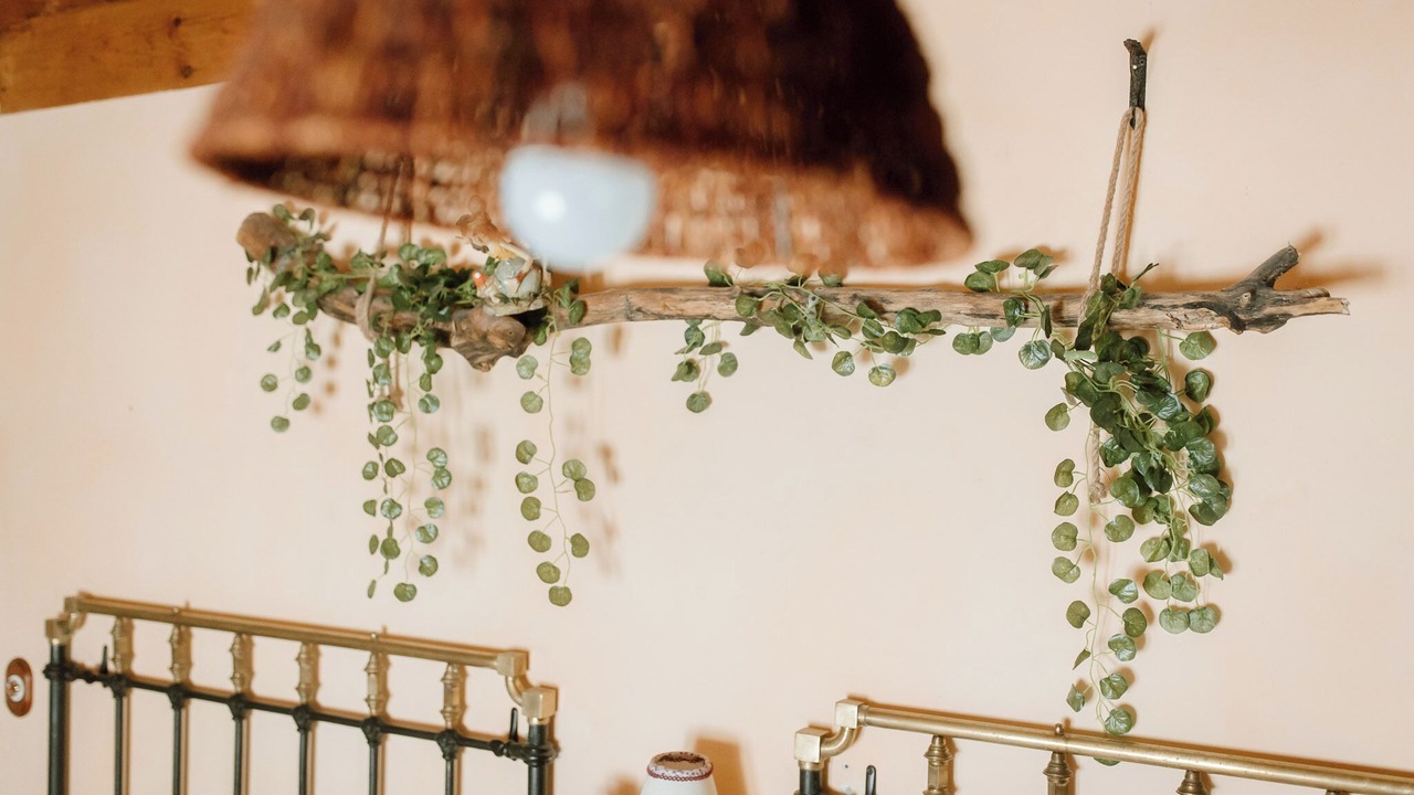 Photo of Others in Otero de Bodas