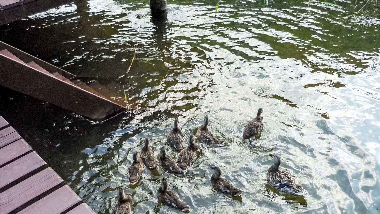 Photo of Others in Lindow