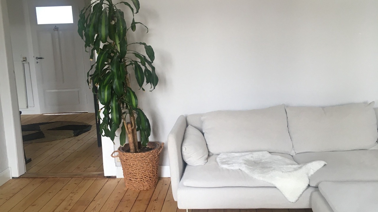 Photo of Livingroom in Osternburg