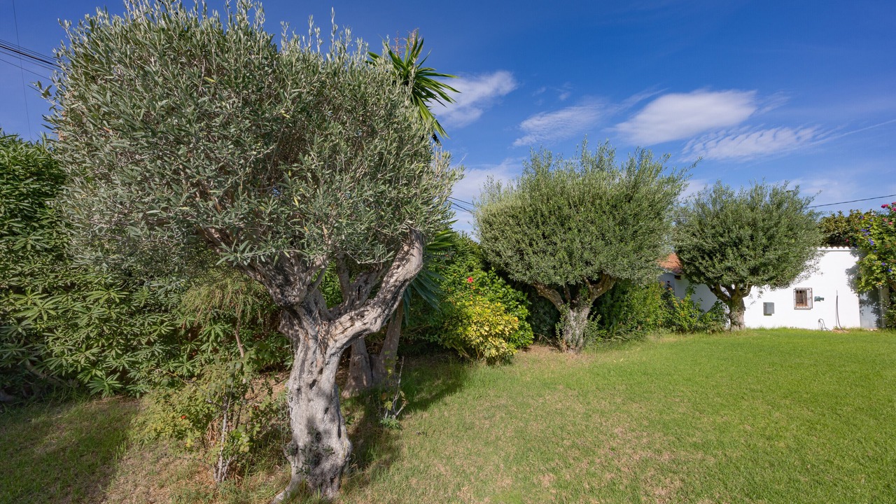 Photo of Outdoor in El Albir