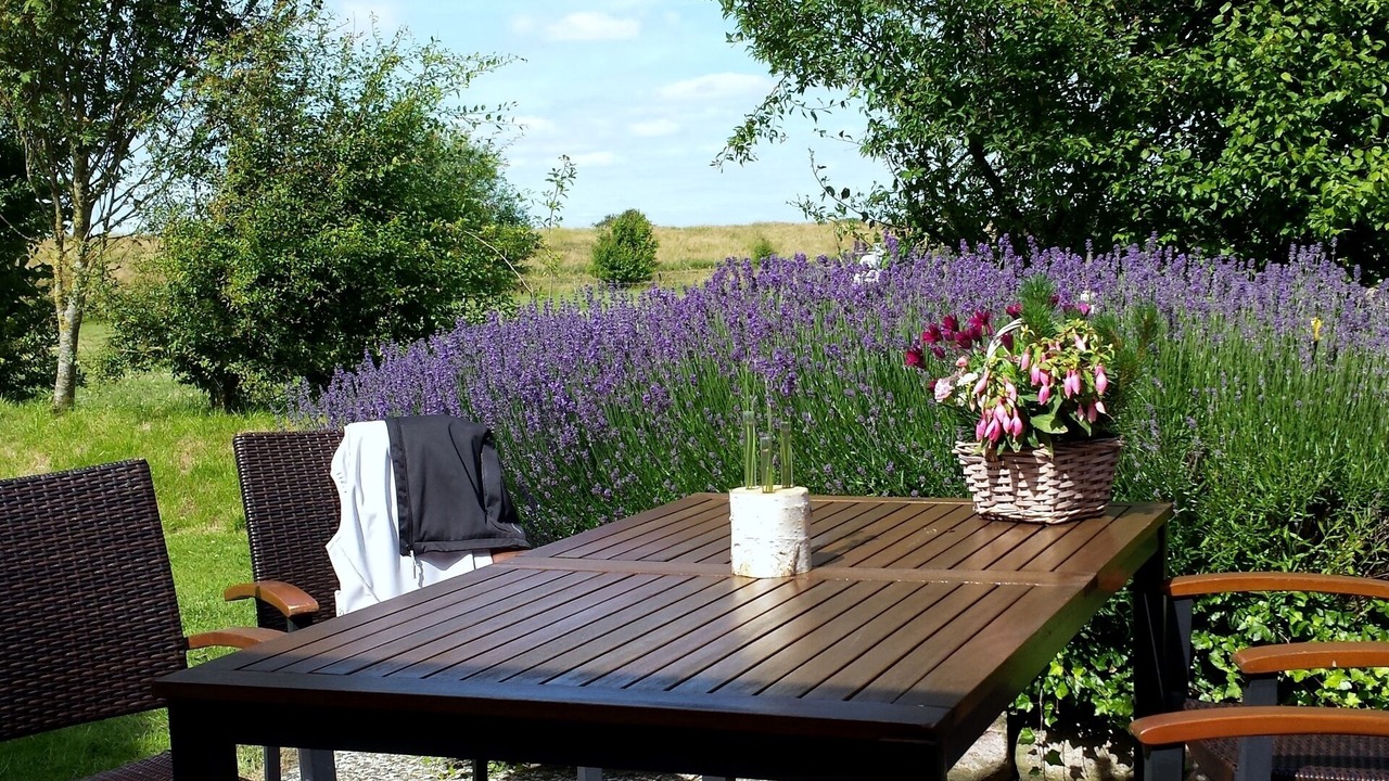 Photo of Outdoor in Hillgroven