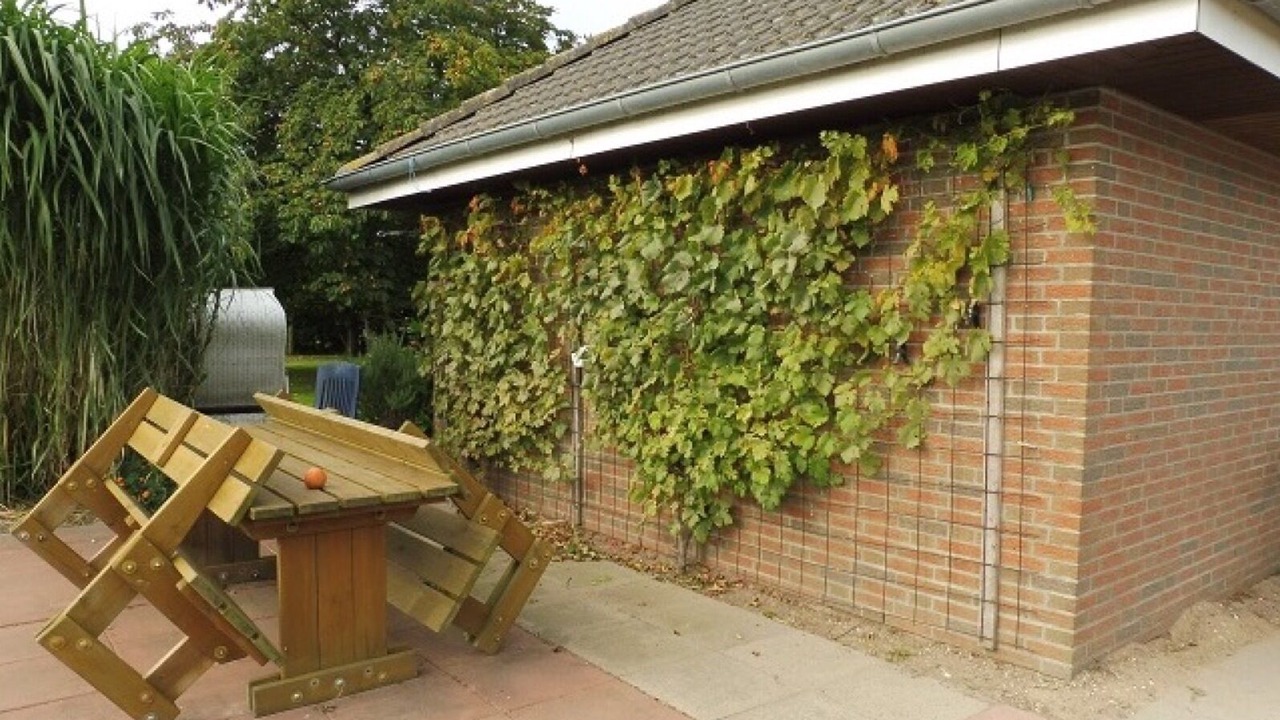 Photo of Patio Balcony in Hillgroven