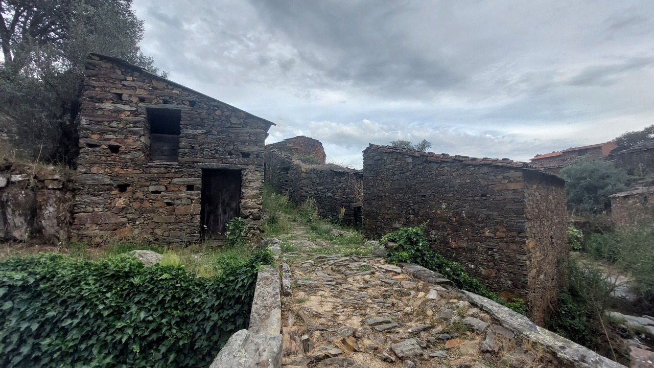 Photo of Others in Pinofranqueado