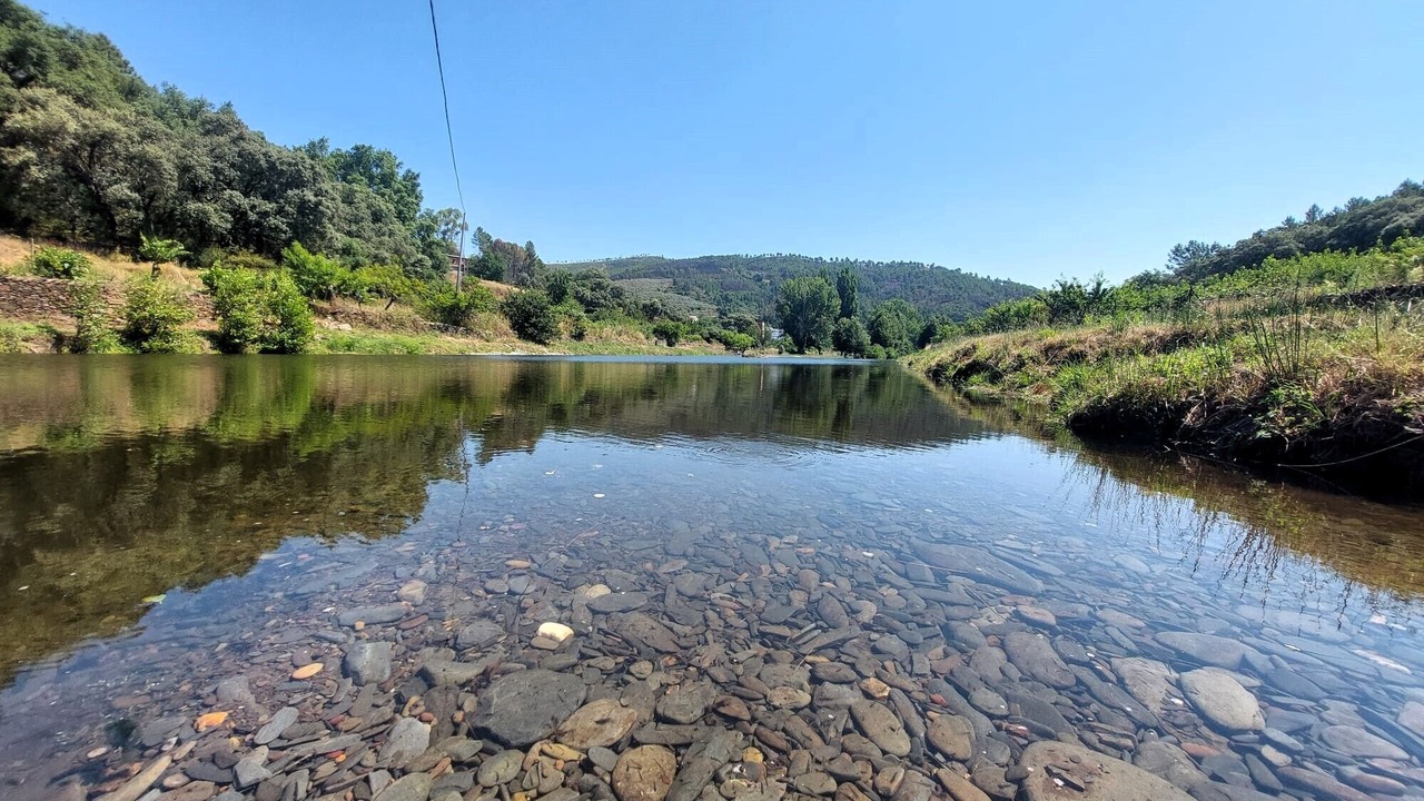 Photo of Others in Pinofranqueado
