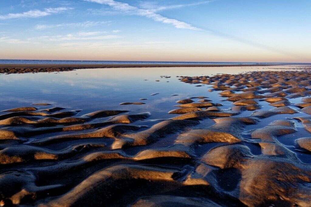 Photo of Others in Langeoog
