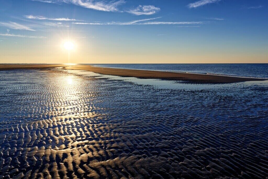 Photo of Others in Langeoog