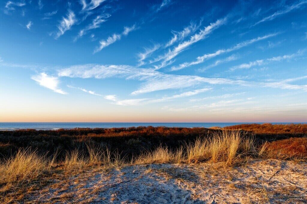 Photo of Others in Langeoog