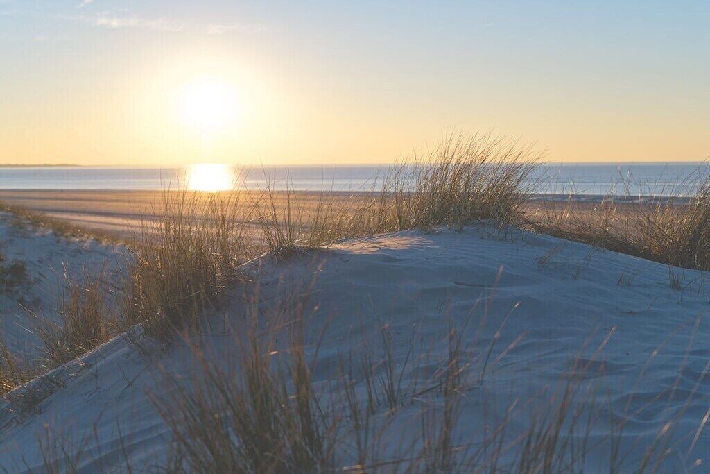 Photo of Others in Langeoog